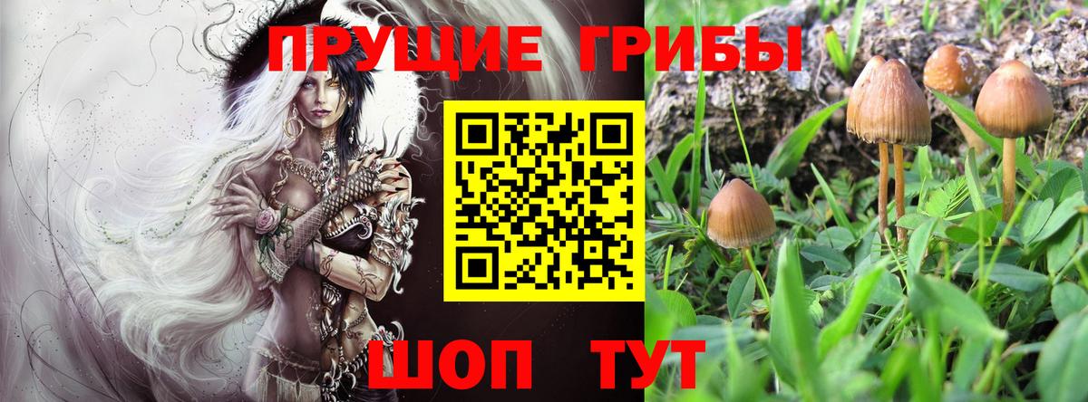 сколько стоит  Вход с VPN  Галлюциногенные грибы Cubensis  Коломна  Галлюциногенные грибы Psilocybe 